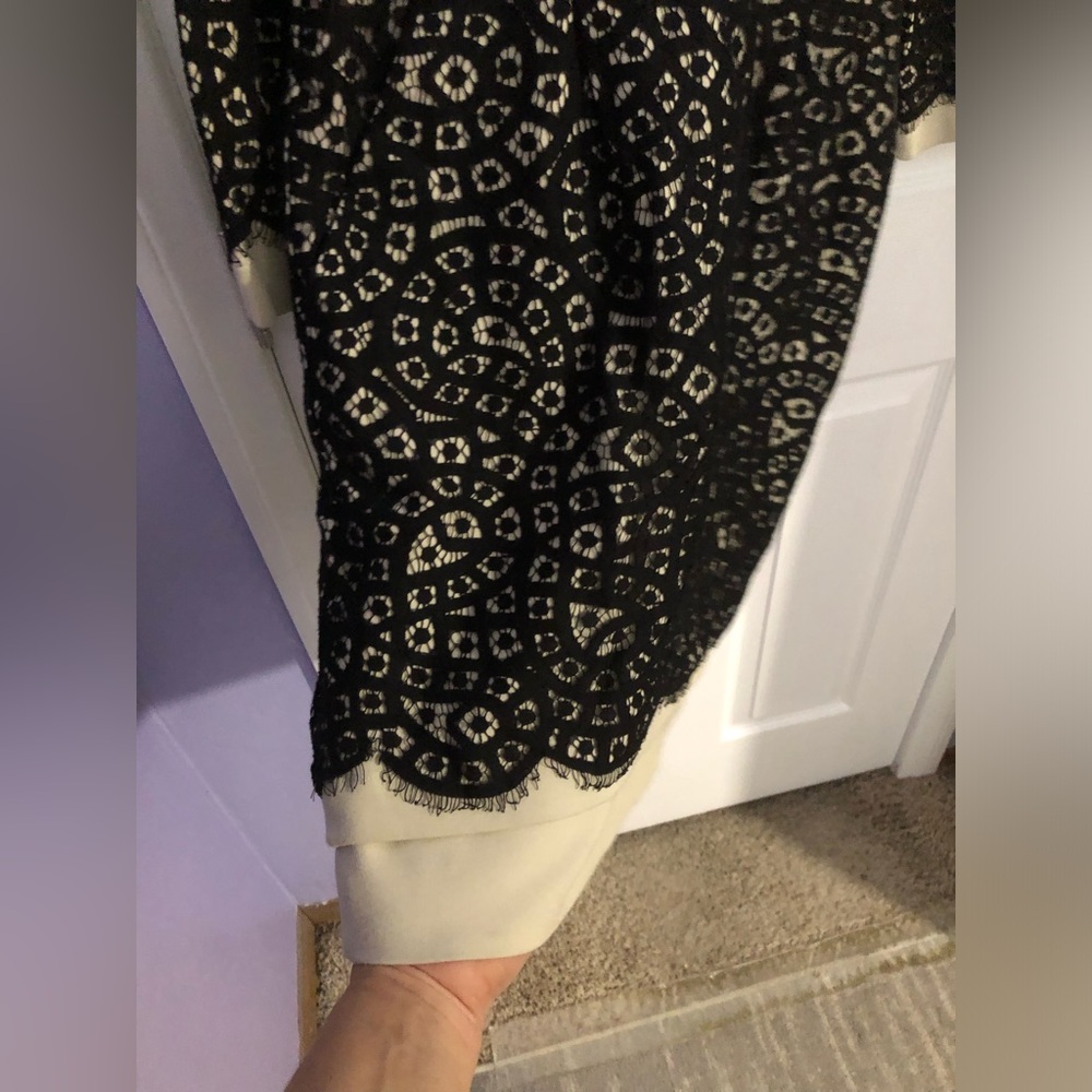BCBGMaxAzria Black Lace Overlay on Cream Long-Sleeve Dress - Picture 4 of 12